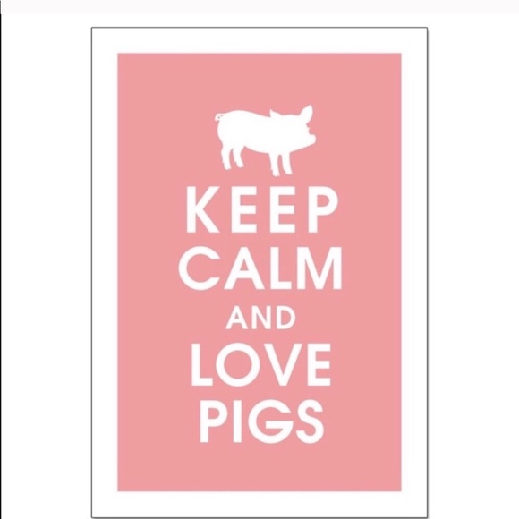 INFORMATION PAGE- The Flying Pig Daily Share Group - Picture 3 of 6